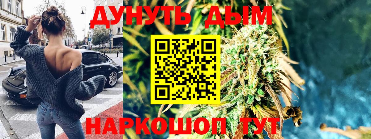 Канабис сатива Верхняя Пышма